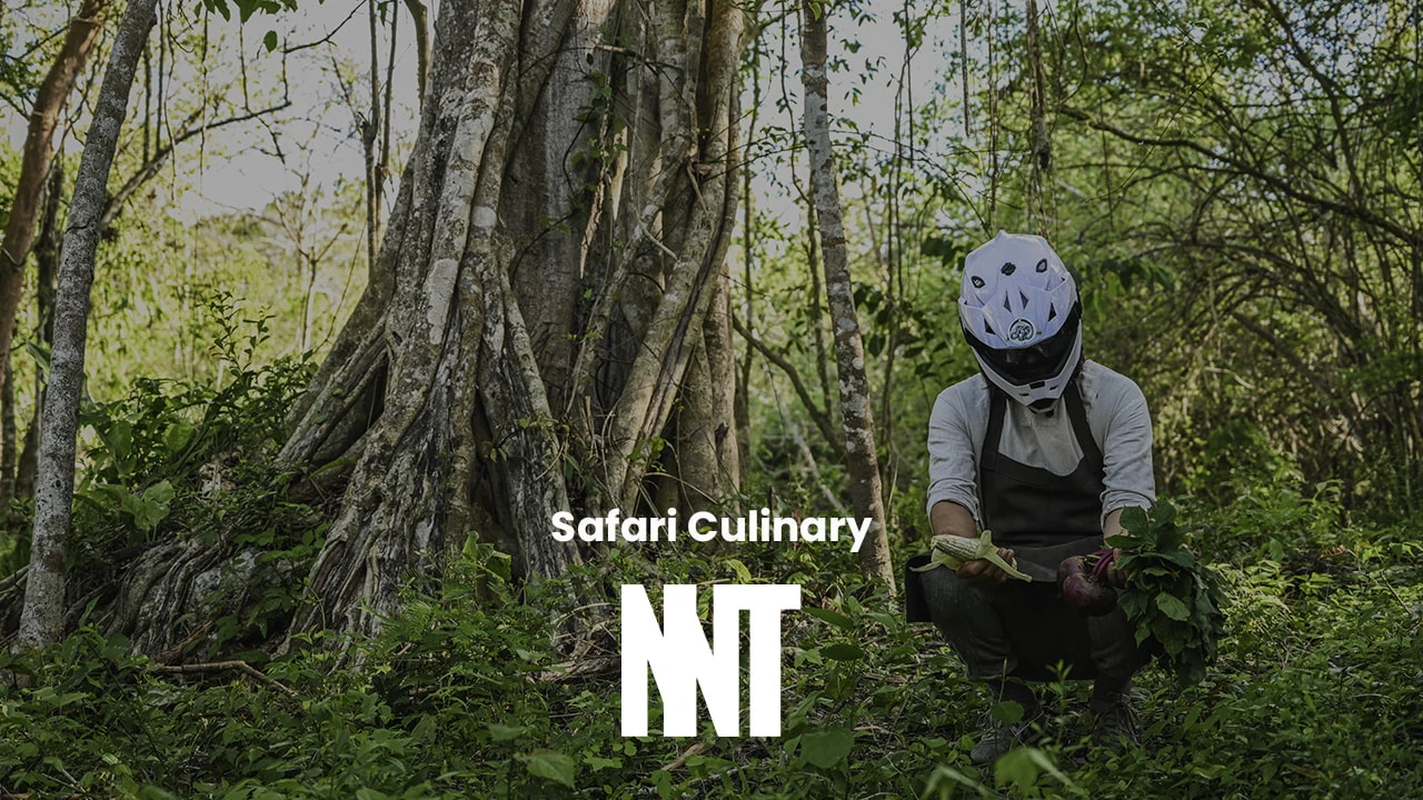 Animación y video Canter